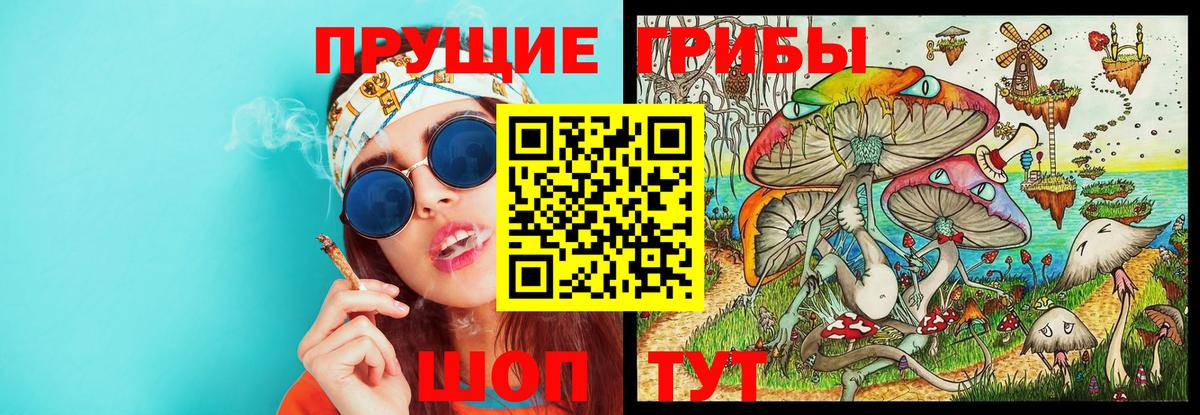 Псилоцибиновые грибы Cubensis  Вход с VPN  Кстово  Псилоцибиновые грибы Psilocybine cubensis 