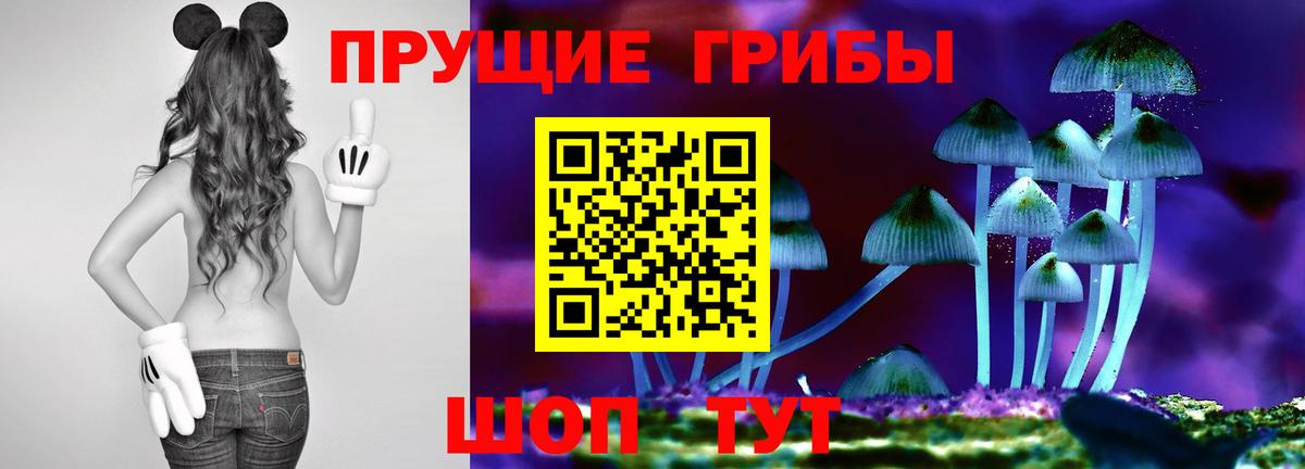 Галлюциногенные грибы Psilocybe Кстово